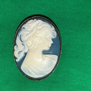 Elegant Cameo Brooch in Blue and Cream